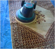 Carpet Cleaning