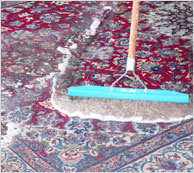 Rug Cleaning